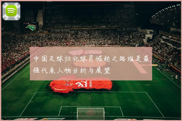 中国足球归化球员崛起之路谁是最强代表人物分析与展望