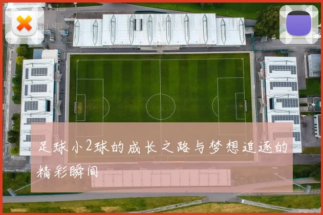 足球小2球的成长之路与梦想追逐的精彩瞬间