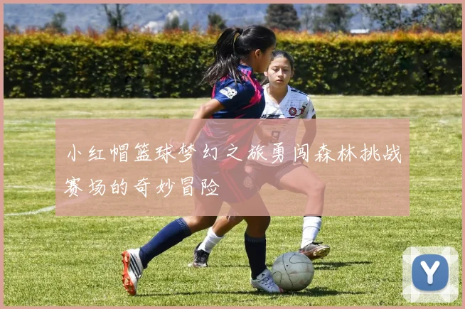 小红帽篮球梦幻之旅勇闯森林挑战赛场的奇妙冒险