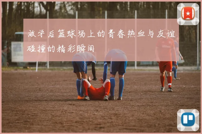 放学后篮球场上的青春热血与友谊碰撞的精彩瞬间