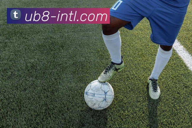 App Interface Preview