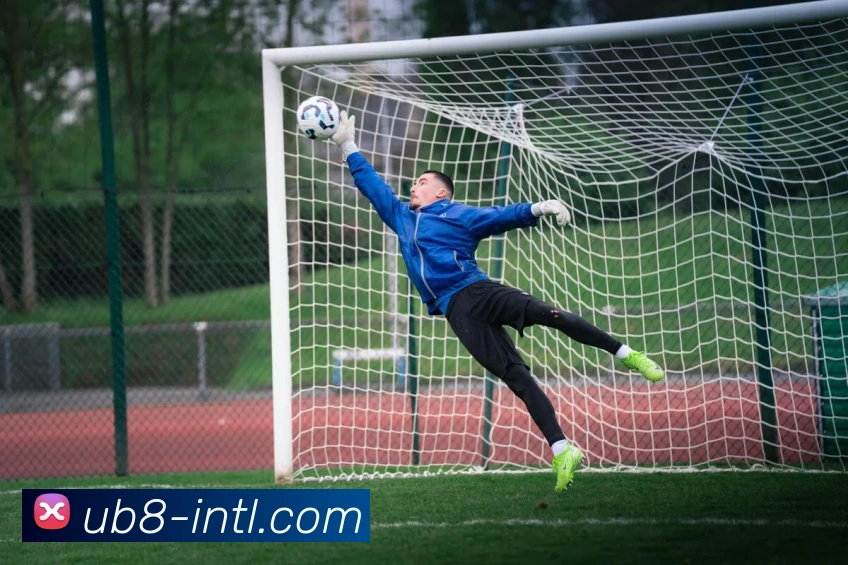 优游官网APP 封面图